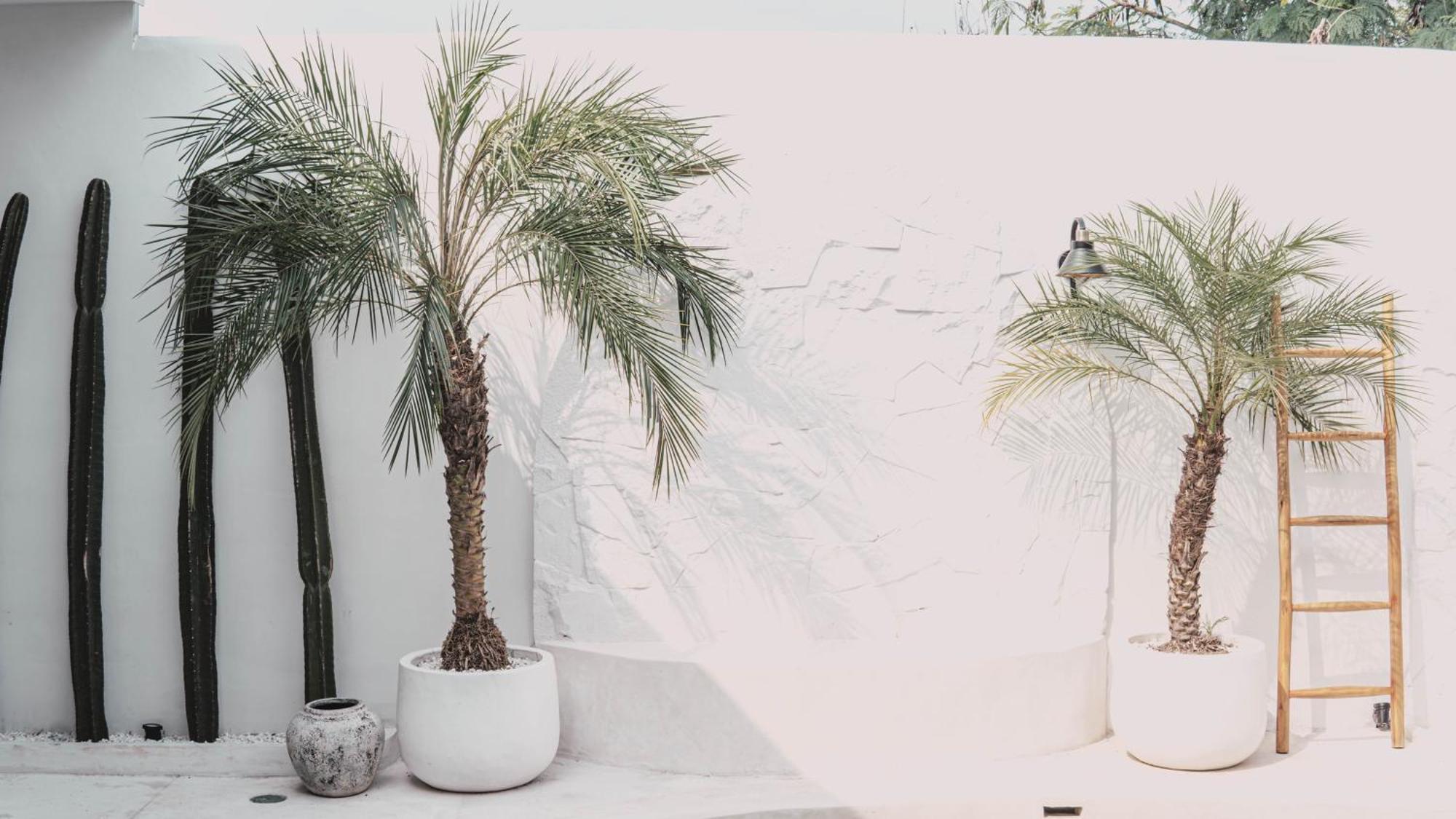 Bohemian Jogja Villas With Private Pool Kejayan Екстер'єр фото
